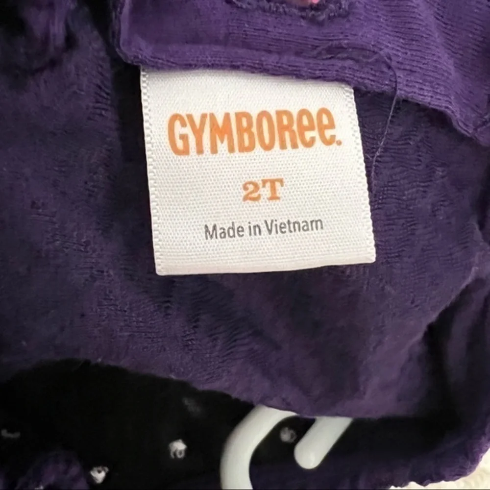 𝅺GYMBOREE|GIRLS plum short sleeve party dress-size 2T